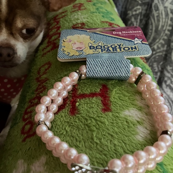 Doggy Parton (Dolly) dog 🐶 necklace - Picture 7 of 7